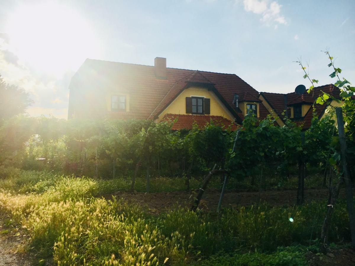 Hotel Landhaus Weinblick Rohrendorf bei Krems Zewnętrze zdjęcie