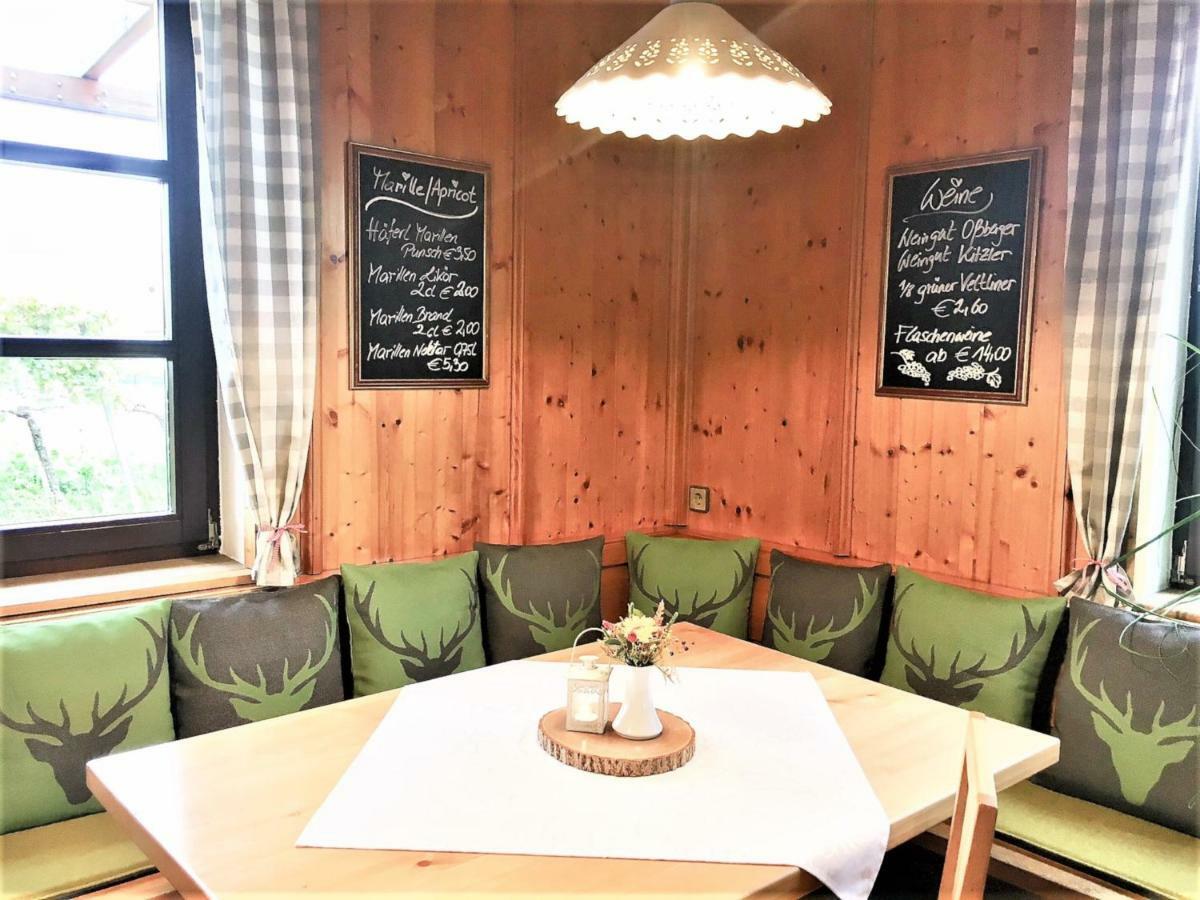 Landhaus Weinblick Rohrendorf bei Krems Zewnętrze zdjęcie