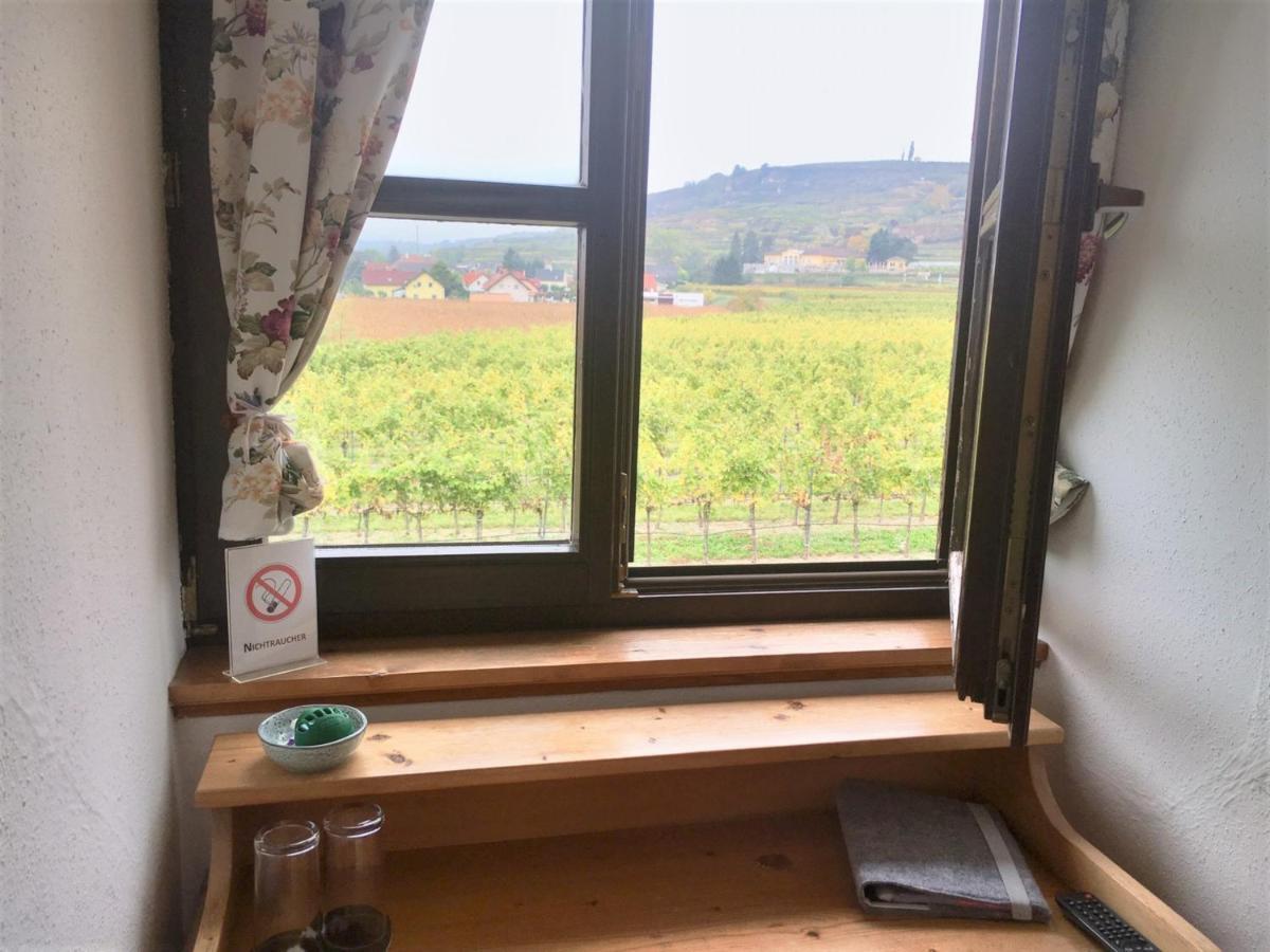 Landhaus Weinblick Rohrendorf bei Krems Zewnętrze zdjęcie