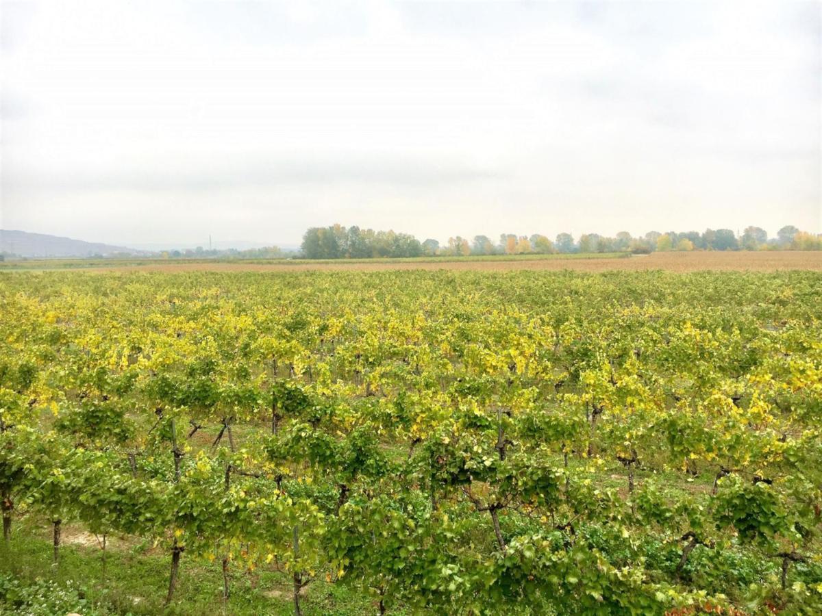 Landhaus Weinblick Rohrendorf bei Krems Zewnętrze zdjęcie